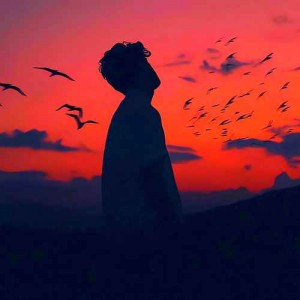 Rookie资料,Rookie最新歌曲,RookieMV视频,Rookie音乐专辑,Rookie好听的歌