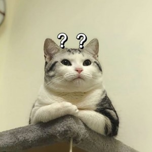 无赖_电音吃鸡资料,无赖_电音吃鸡最新歌曲,无赖_电音吃鸡MV视频,无赖_电音吃鸡音乐专辑,无赖_电音吃鸡好听的歌