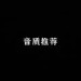 音质推荐