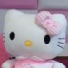猫铃儿