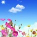 隔世离空的红颜