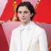 Timothee Chalamet&The Cast of Wonka