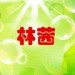 林茜
