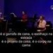 Brazilian Tropical Orchestra&Zezo Ribeiro
