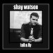 Shay Watson&Blessid Union Of Souls&William Dominic Diluigi