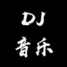 优音车载DJ