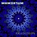 Momentum
